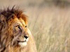 Přivítání s Afrikou - obrázek č. 6